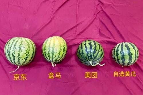 成都都在吃瓜